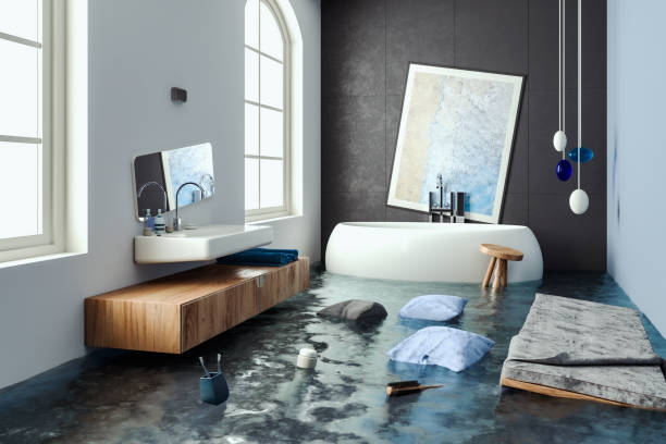 Best Local water damage restoration  in Flat Rock, NC