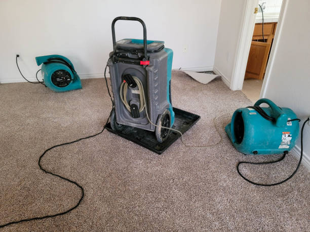 Water damage restoration insurance claims in Flat Rock, NC