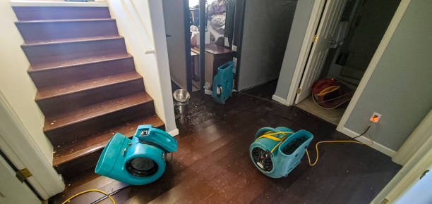 Best Water damage contractors near me  in Flat Rock, NC