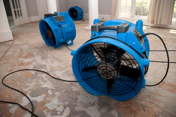 Best Professional water damage repair  in Flat Rock, NC
