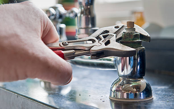 Best Emergency water damage restoration  in Flat Rock, NC