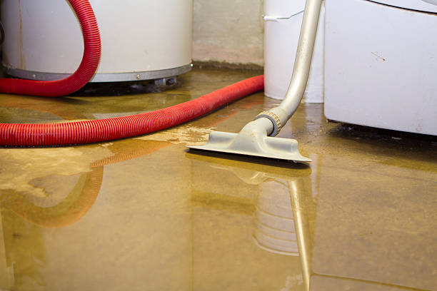 Best Water damage restoration specialists  in Flat Rock, NC