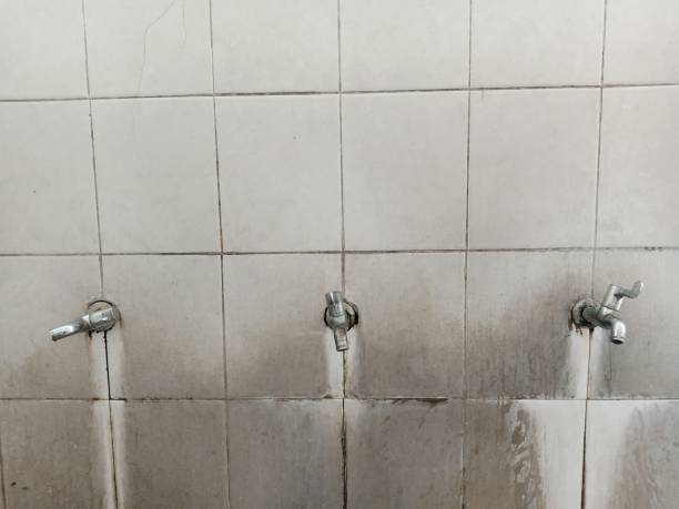 Best Ceiling water damage repair  in Flat Rock, NC